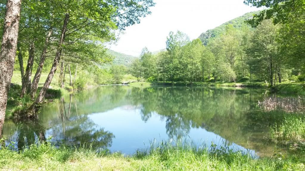 Camping La Marmotte Ax-les-Thermes Esterno foto
